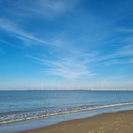 Ruime Vrijstaande Vakantiewoning Aan Veerse Meer, 6 Persoons Wolphaartsdijk ภายนอก รูปภาพ